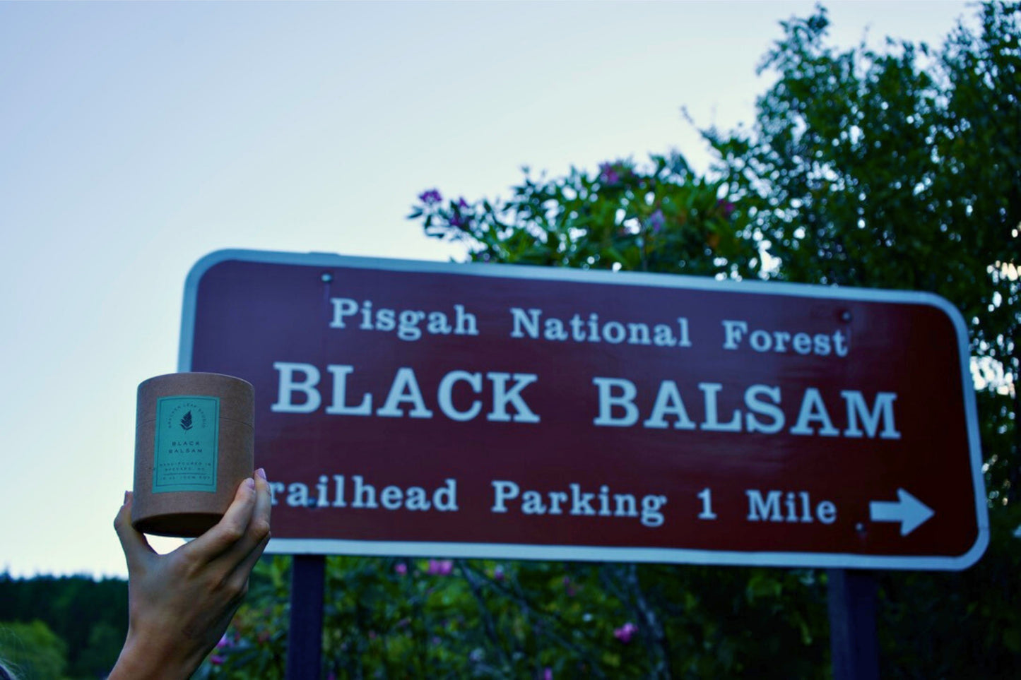 Black Balsam