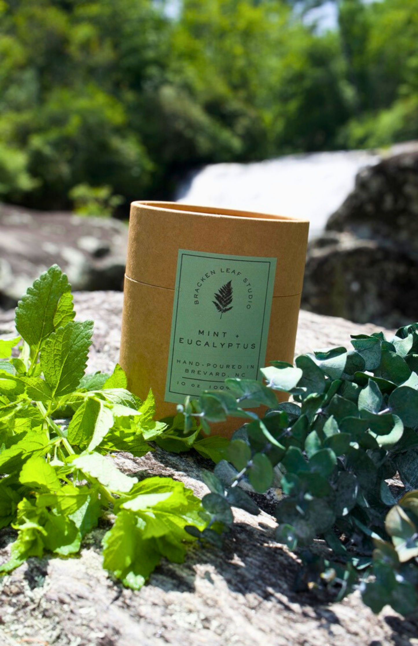 Mint + Eucalyptus