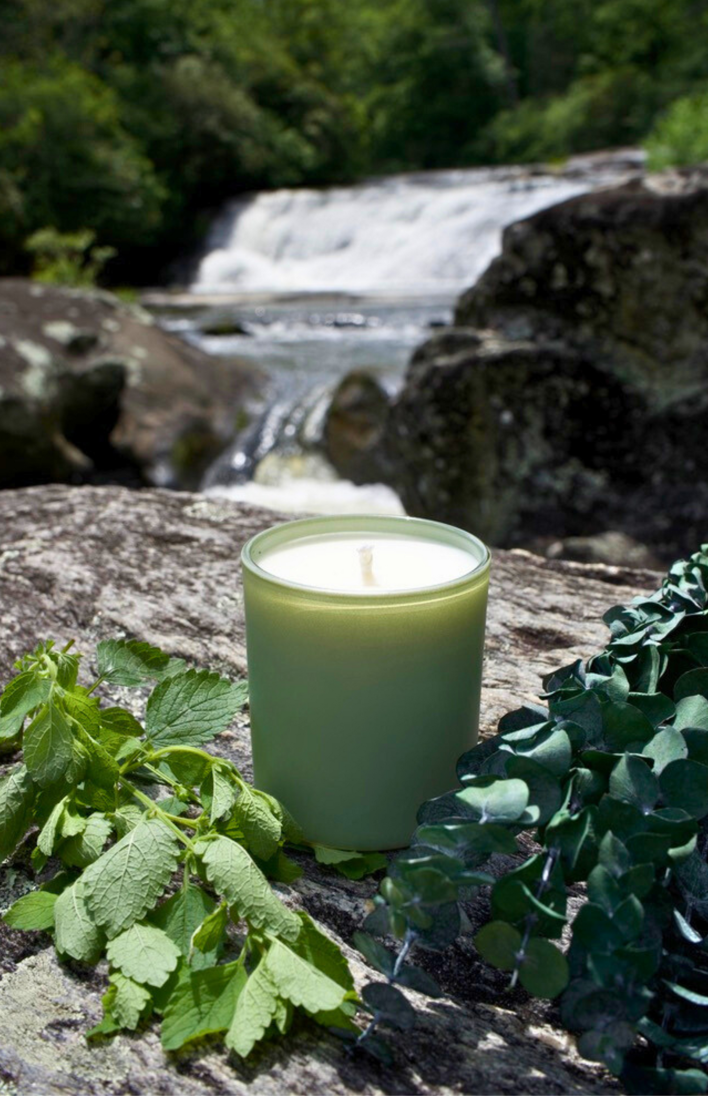 Mint + Eucalyptus
